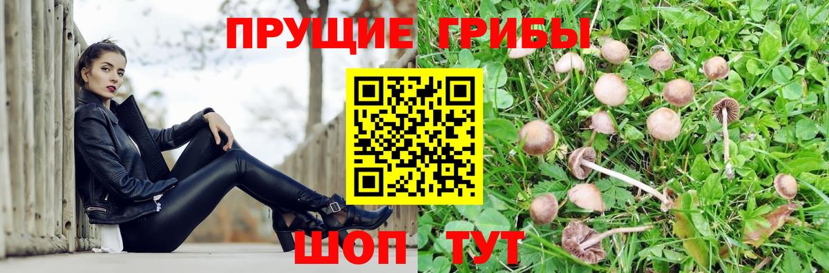 Екатеринбург  Псилоцибиновые грибы Magic Shrooms  Вход с VPN 